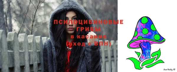 гашик Иннополис