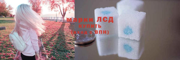 твердый Инта