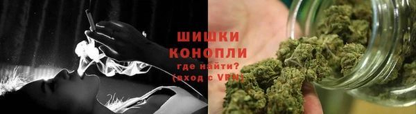 твердый Инта