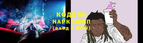 твердый Инта