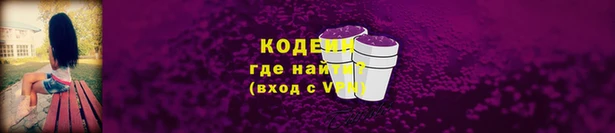 твердый Инта