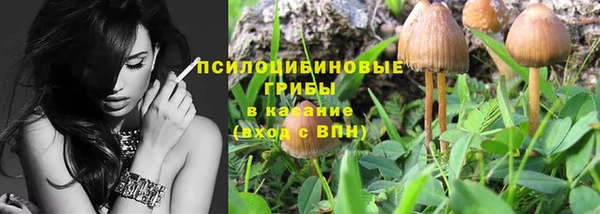 твердый Инта
