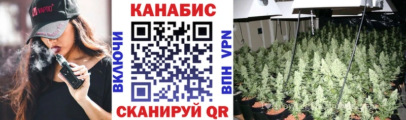 Шишки марихуана VHQ  Купить закладки  Качканар 